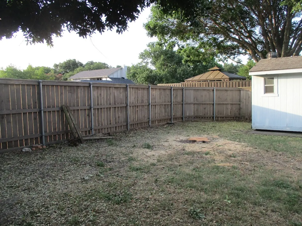 Cleared yard after professional tree removal in College Point